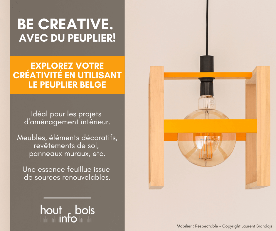 Visuel pour la campagne Be Creative - Avec du Peuplier - Hout Info Bois 2024