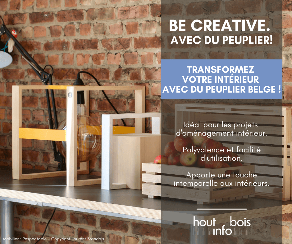 Visuel pour la campagne Be Creative - Avec du Peuplier - Hout Info Bois 2024