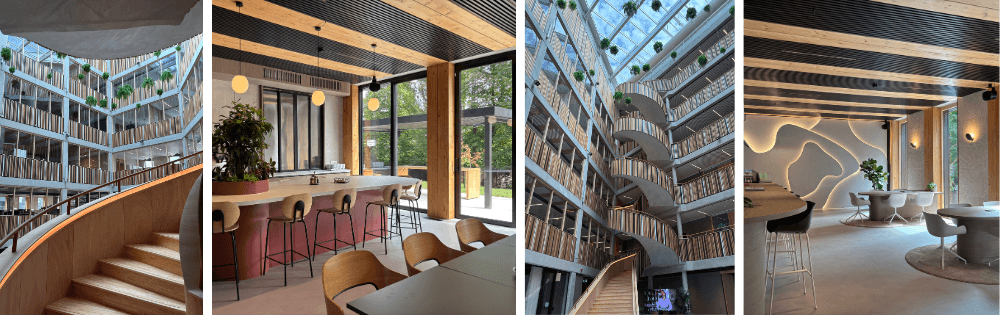 Photos Wood Hub - ARCHi2000 - Hout Lunch Bois