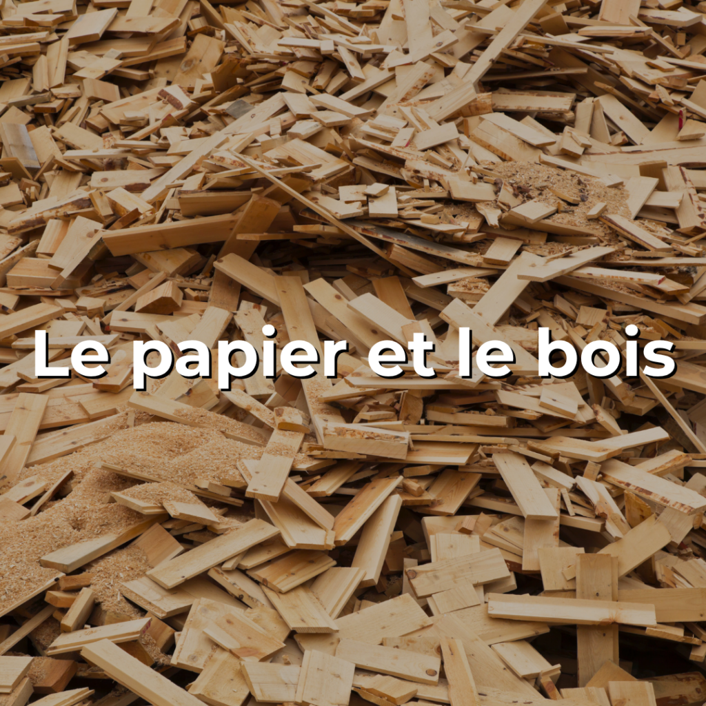 Vidéo sur la forêt et le bois - Le papier et le bois