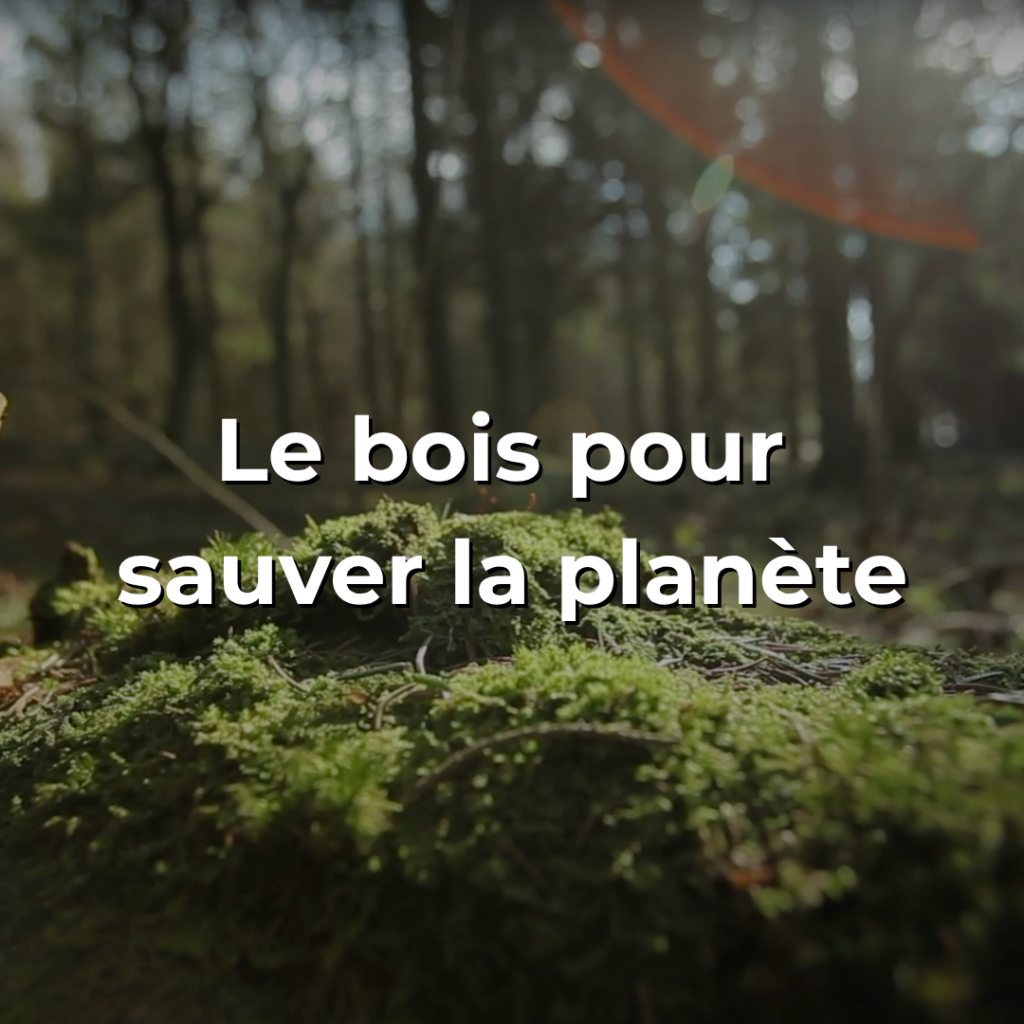 Vidéo sur la forêt et le bois - Le bois pour sauver la planète