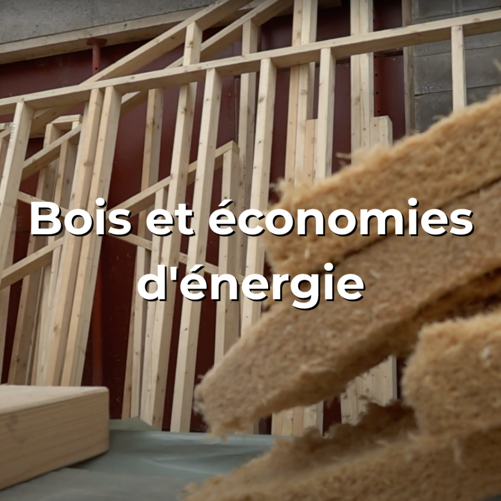 Vidéo sur la forêt et le bois - Bois et économies d'énergie