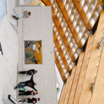 Skatepark urbain couvert par une structure en bois lamellé-collé