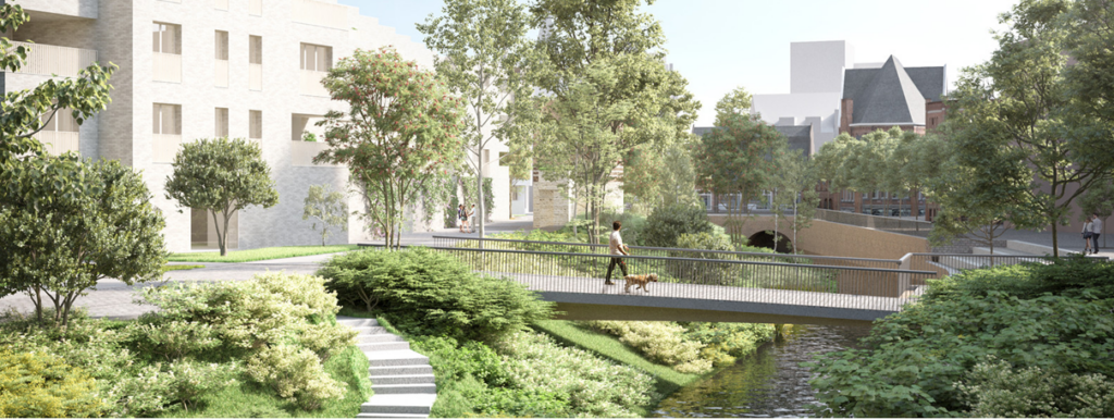 Passerelle en bois - WOW engineering